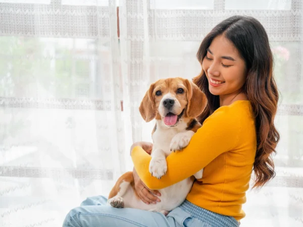 Pets Mental Health Recovery