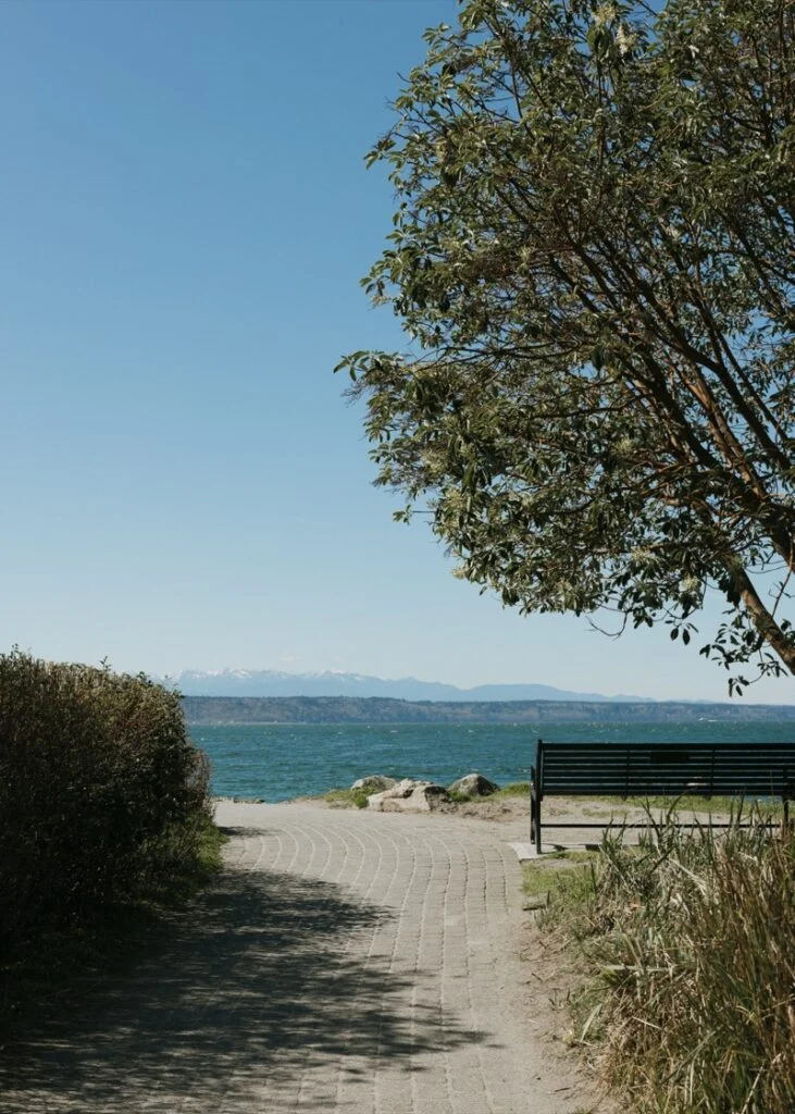 A healing coastal environment.